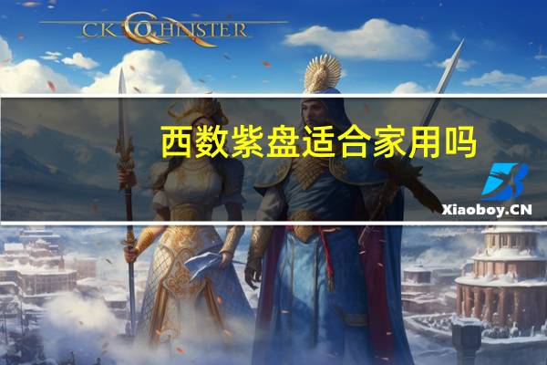 西数紫盘适合家用吗