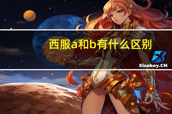 西服a和b有什么区别