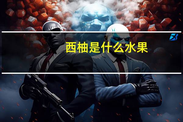 西柚是什么水果
