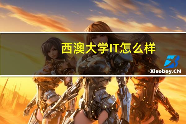 西澳大学IT怎么样