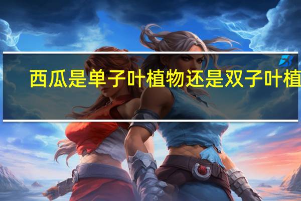 西瓜是单子叶植物还是双子叶植物