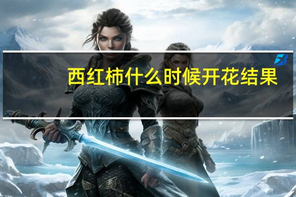 西红柿什么时候开花结果