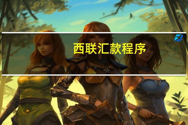 西联汇款程序