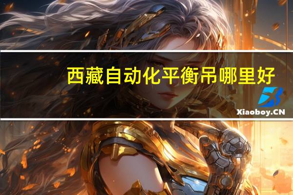 西藏自动化平衡吊哪里好