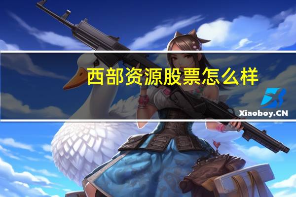 西部资源股票怎么样