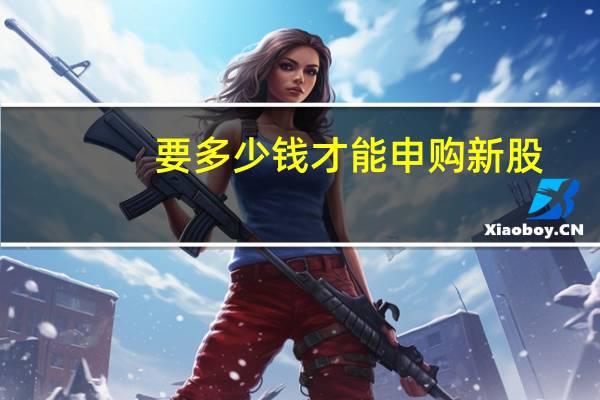 要多少钱才能申购新股