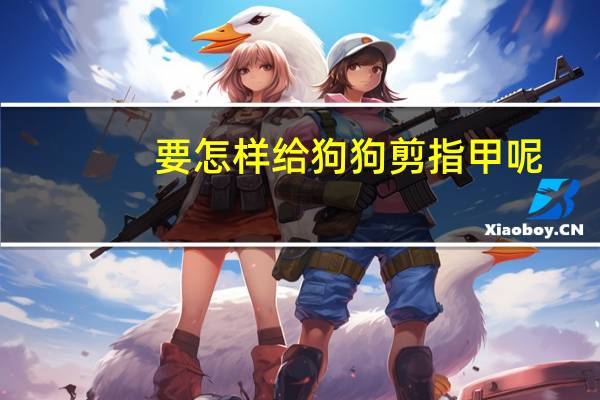 要怎样给狗狗剪指甲呢