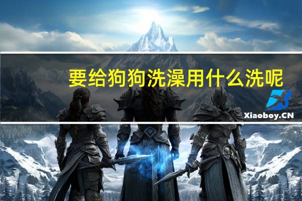 要给狗狗洗澡用什么洗呢