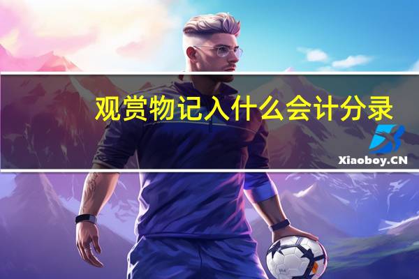 观赏物记入什么会计分录