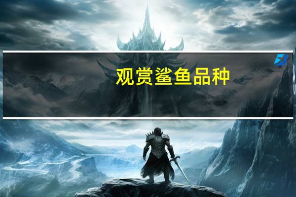 观赏鲨鱼品种