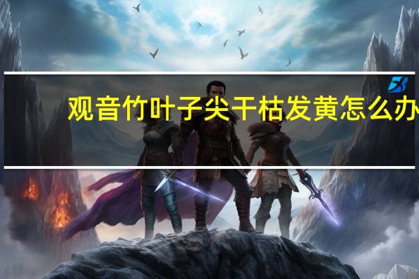 观音竹叶子尖干枯发黄怎么办