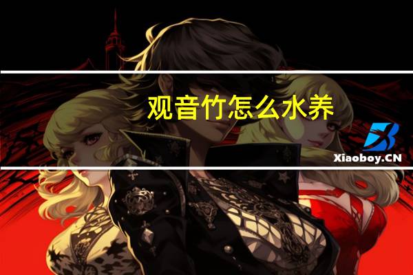 观音竹怎么水养
