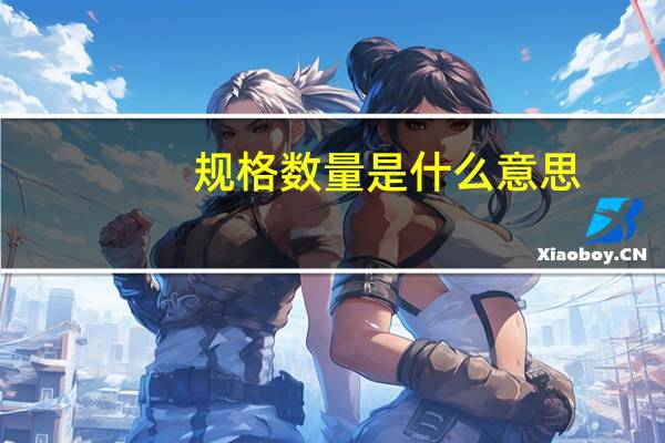 规格数量是什么意思