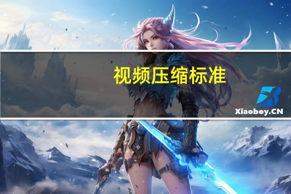 视频压缩标准