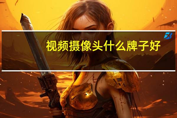 视频摄像头什么牌子好