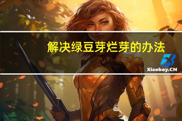 解决绿豆芽烂芽的办法