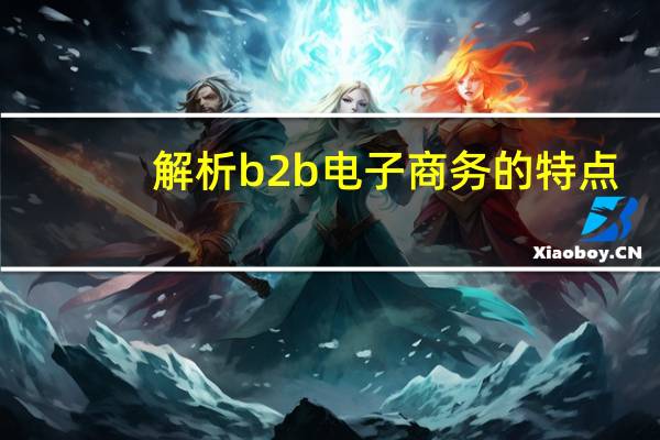 解析b2b电子商务的特点