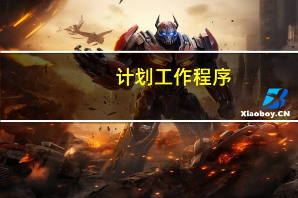 计划工作程序