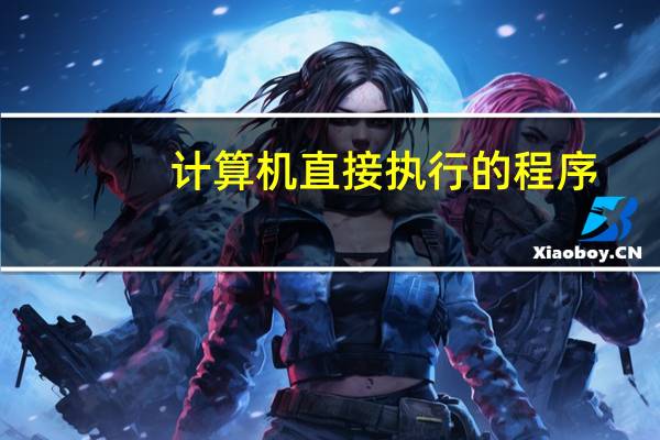 计算机直接执行的程序