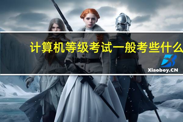 计算机等级考试一般考些什么