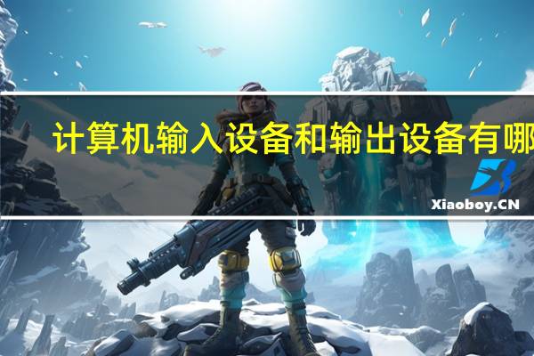 计算机输入设备和输出设备有哪些