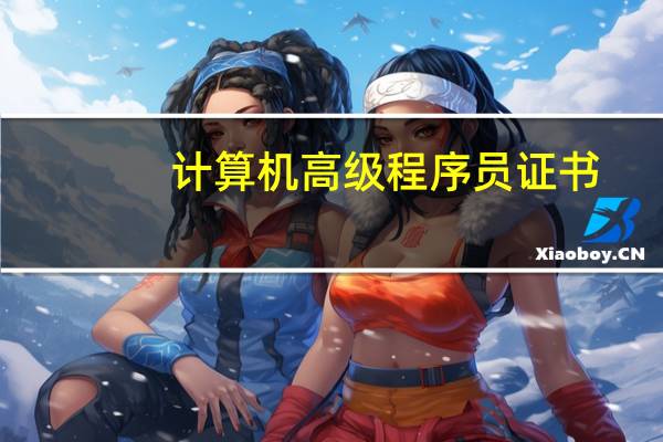 计算机高级程序员证书