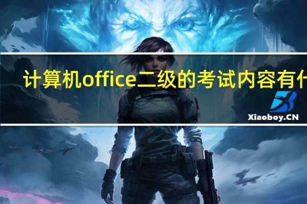 计算机office二级的考试内容有什么