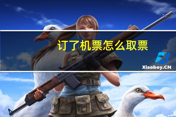 订了机票怎么取票