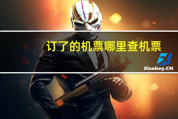 订了的机票哪里查机票