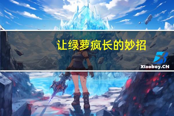 让绿萝疯长的妙招
