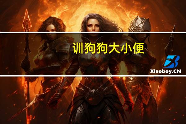 训狗狗大小便