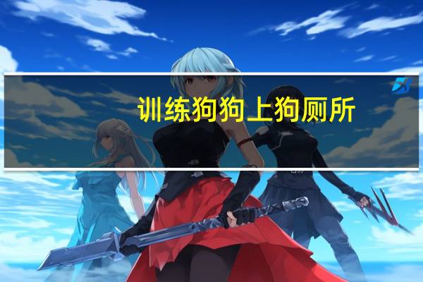训练狗狗上狗厕所
