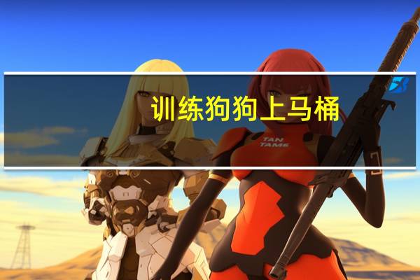 训练狗狗上马桶