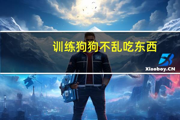 训练狗狗不乱吃东西