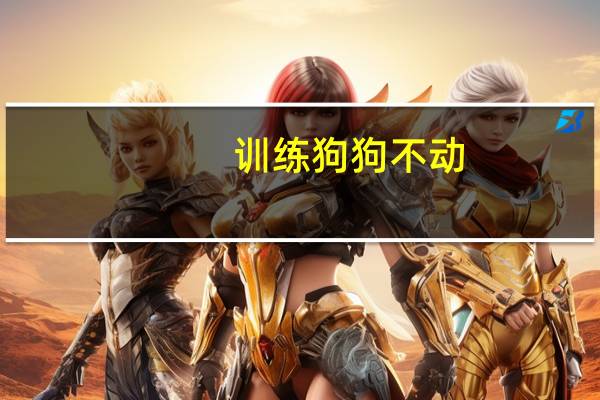 训练狗狗不动