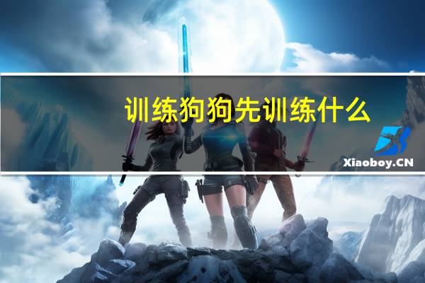 训练狗狗先训练什么