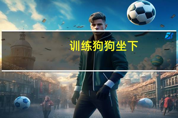 训练狗狗坐下