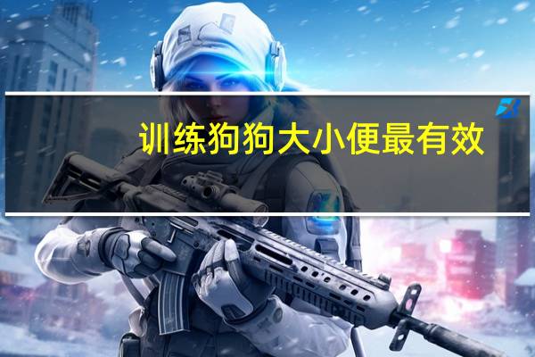 训练狗狗大小便最有效