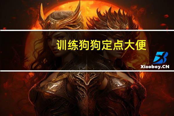 训练狗狗定点大便
