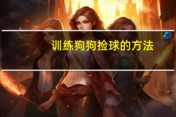 训练狗狗捡球的方法