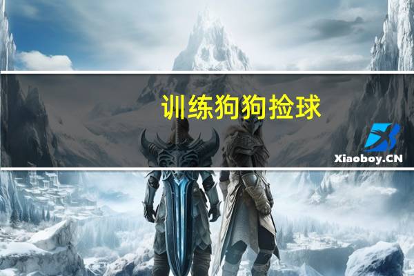 训练狗狗捡球
