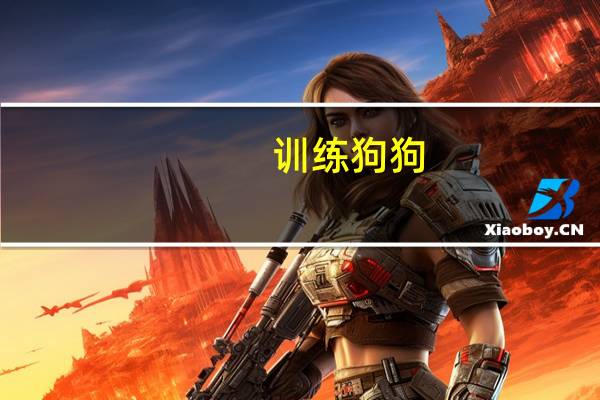 训练狗狗