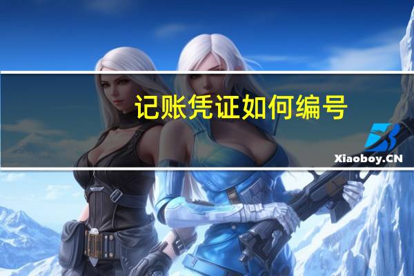 记账凭证如何编号