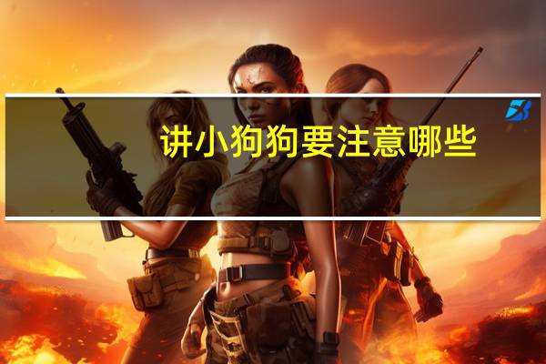 讲小狗狗要注意哪些