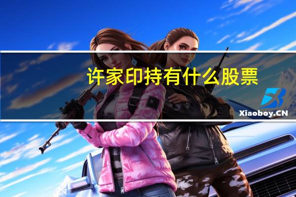 许家印持有什么股票