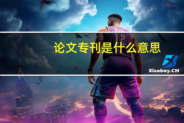 论文专刊是什么意思