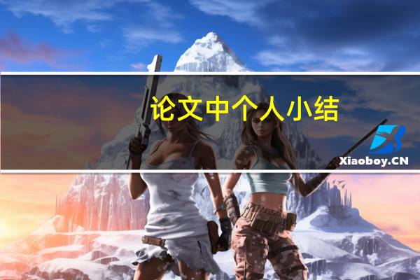 论文中个人小结