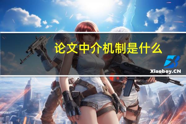 论文中介机制是什么