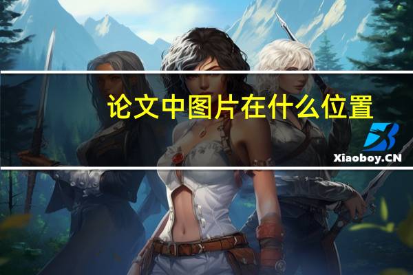 论文中图片在什么位置