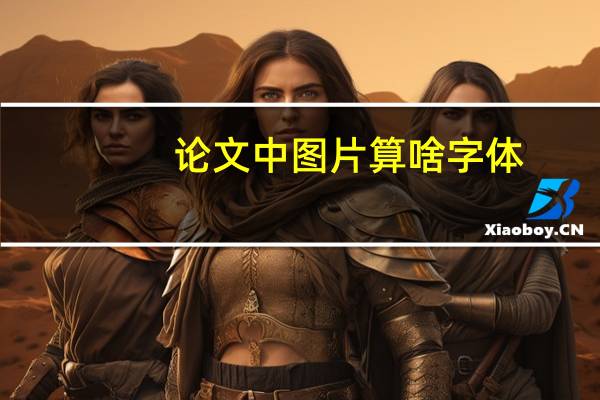 论文中图片算啥字体